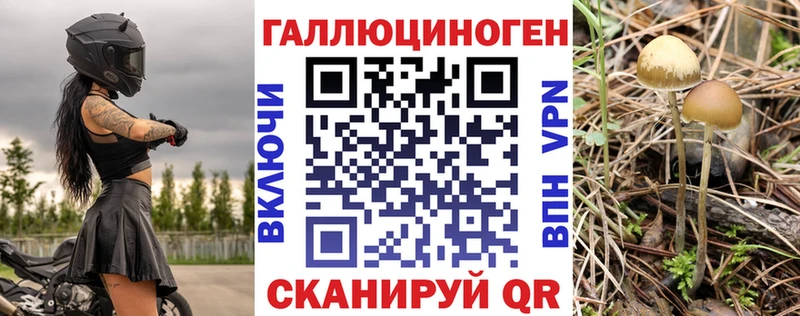 Псилоцибиновые грибы ЛСД  цены   Избербаш 