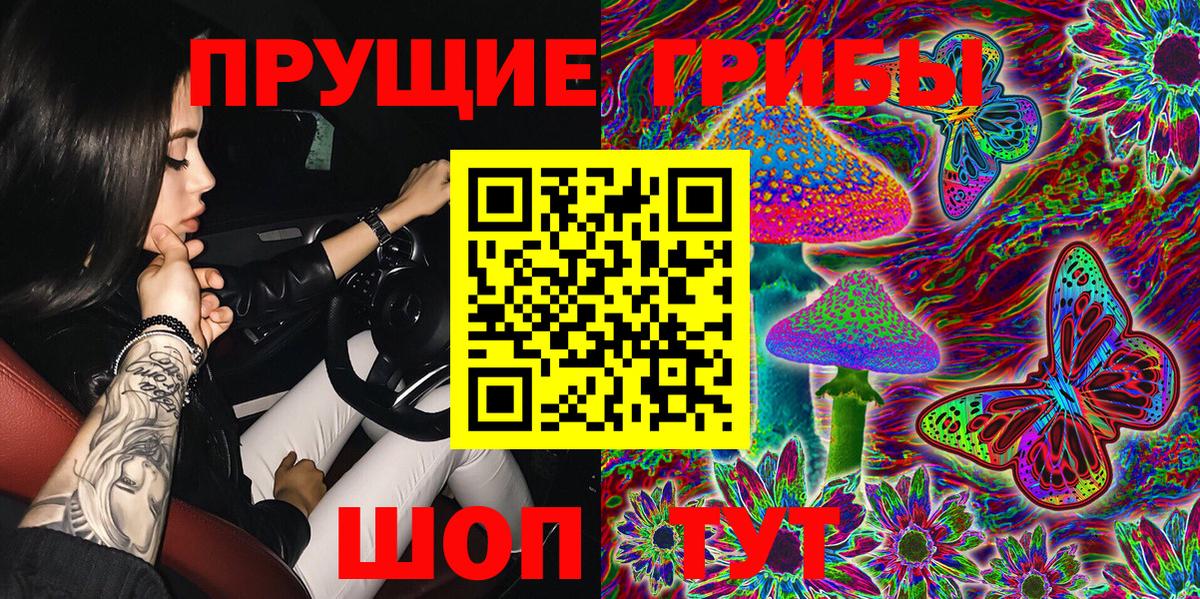 Галлюциногенные грибы Psilocybe  Избербаш 